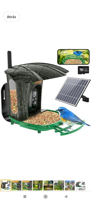 Comedero Pajaros con Cámara 1080P