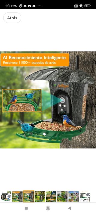 Comedero Pajaros con Cámara 1080P