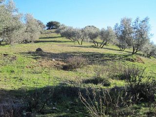 Terreno en venta en Archidona