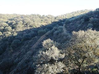 Terreno en venta en Archidona