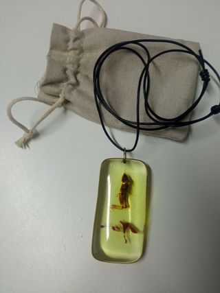 Collar con Grillo en Resina