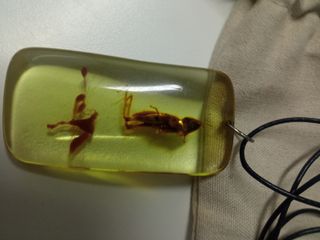 Collar con Grillo en Resina