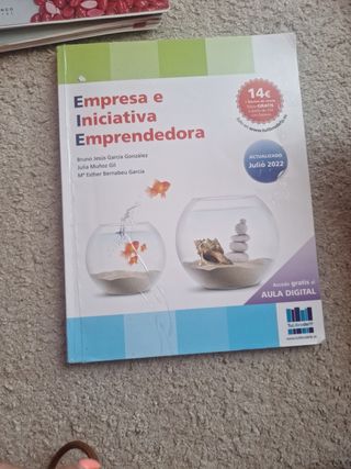 EMPRESA E INICIATIVA EMPRENDEDORA