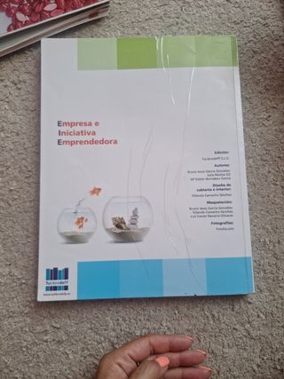 EMPRESA E INICIATIVA EMPRENDEDORA