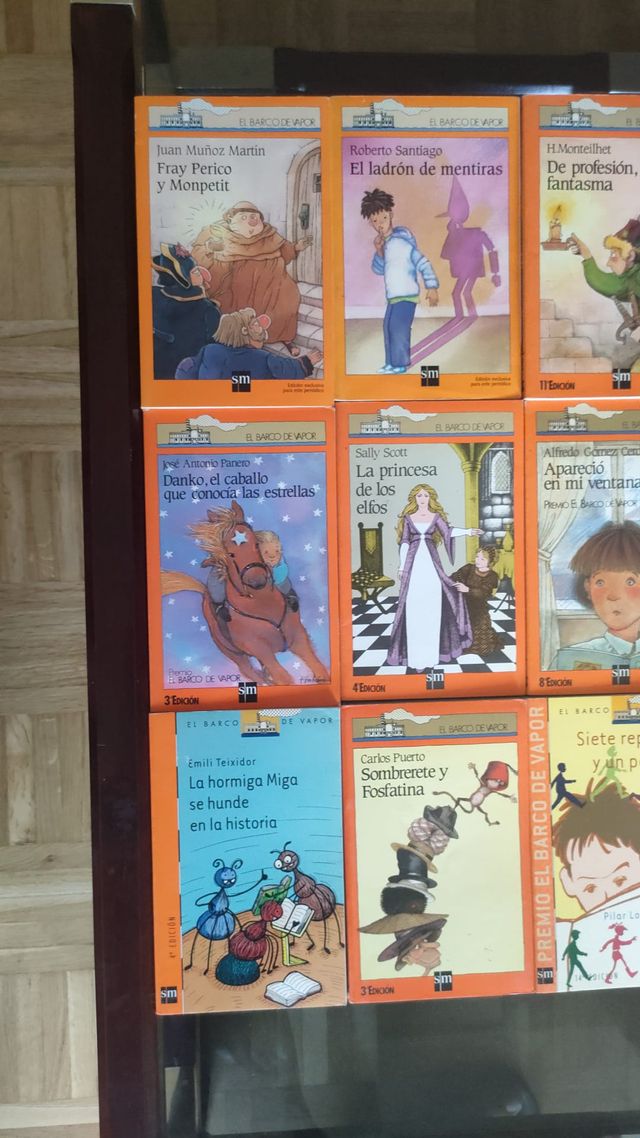 Lote 12 libros El Barco de Vapor (naranja)