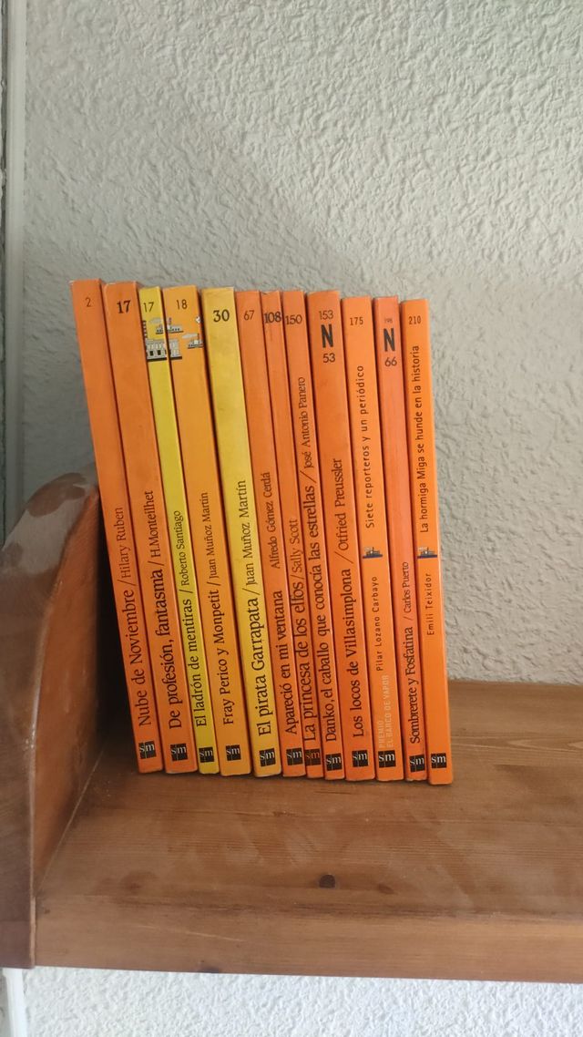 Lote 12 libros El Barco de Vapor (naranja)