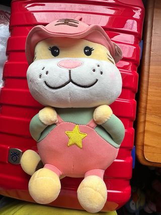 Peluches de navidad con musica Panda y Gato