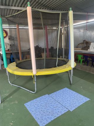 Cama elástica infantil