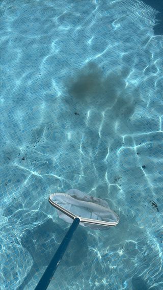 Mantenimiento piscinas económico,profesional