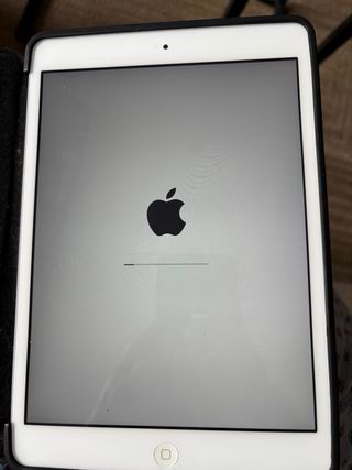 ipad mini 2