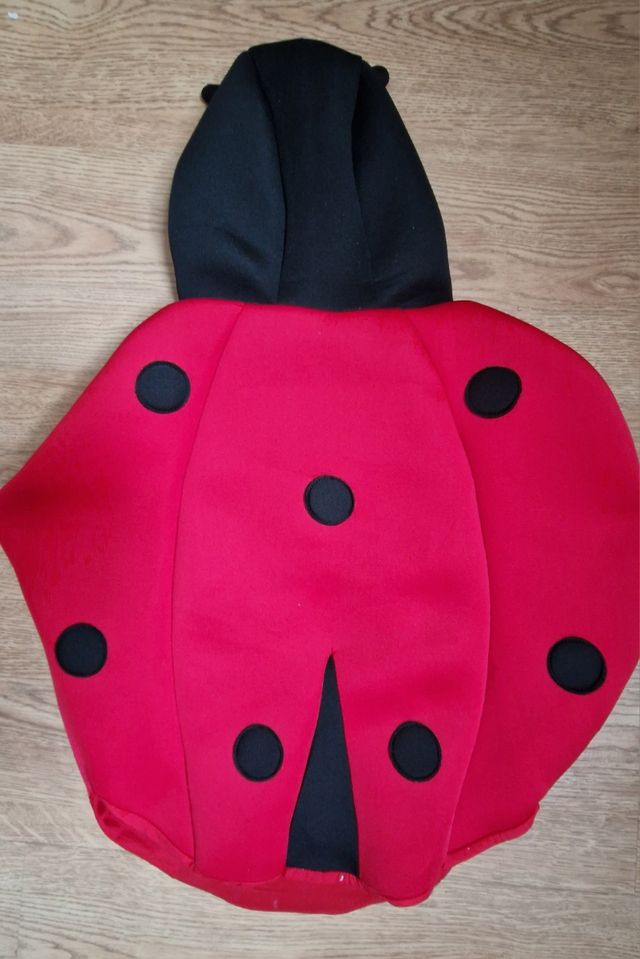 Disfraz mariquita niño Zara 3-4 años