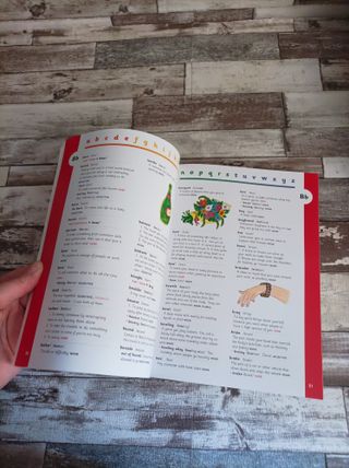 JOLLY DICTIONARY- DIZIONARIO INGLESE ILLUSTRATO 5+