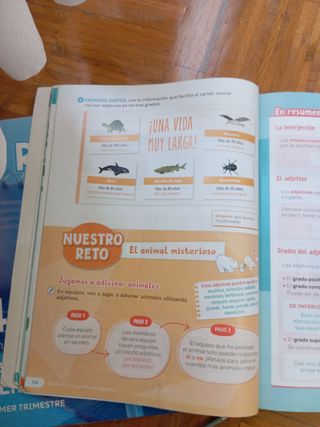 Lengua Castellana y Literatura. 4 Primaria. Tri...
