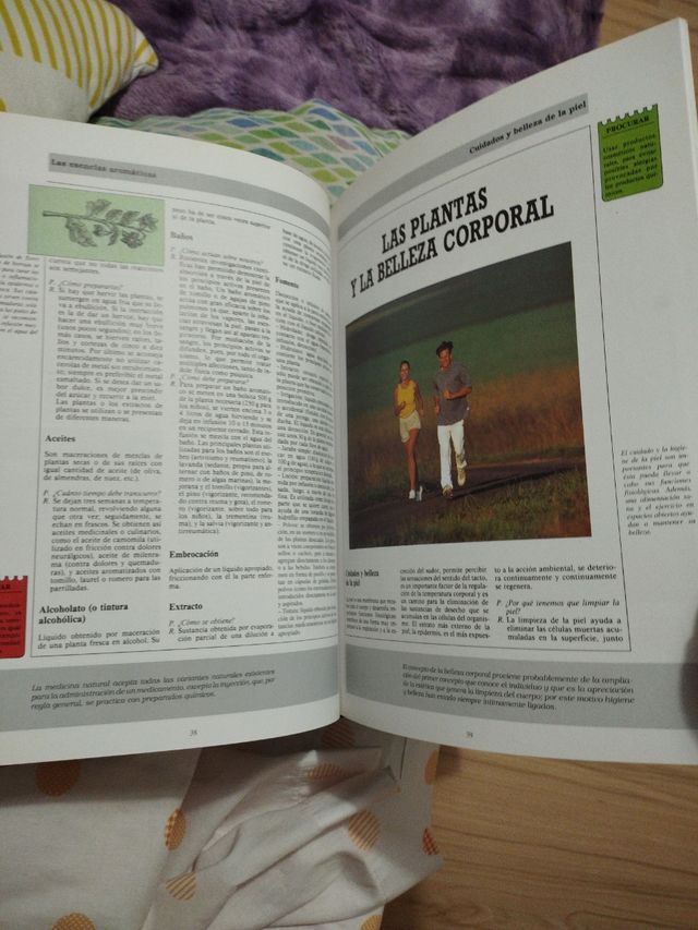 Las Plantas Aplicaciones Medicinales y de Belleza