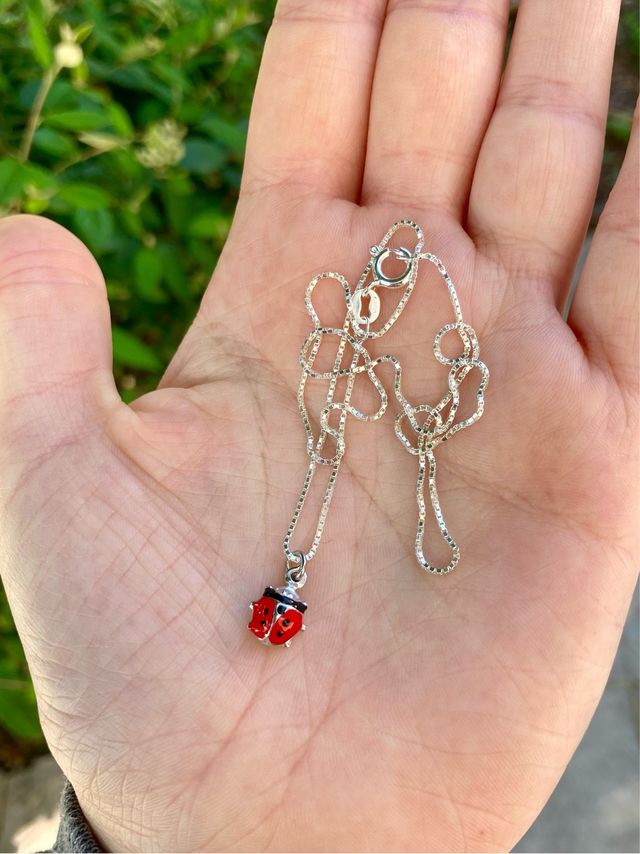 Collana con ciondolo coccinella in argento