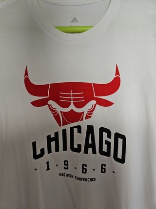 Camiseta NBA Chicago Bulls Adidas