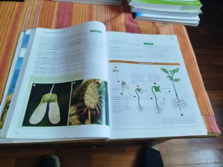 Biología, Geología y Ciencias Ambientales 1.