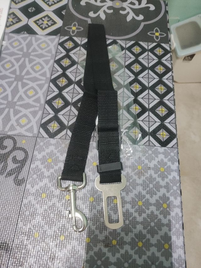 Cinturón seguridad perro