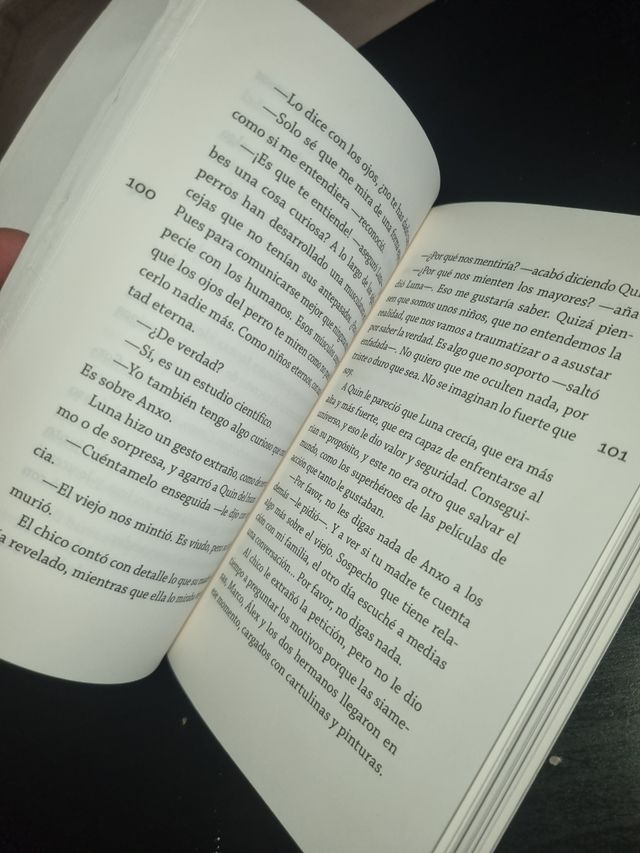 El verano del incendio