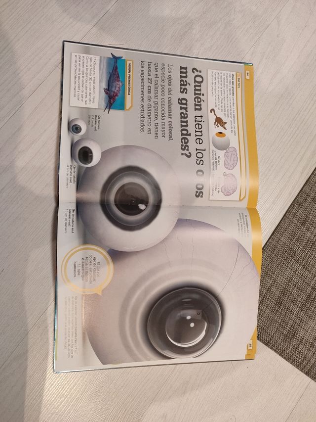 ¡Increíble pero cierto!: Comparaciones visuales...