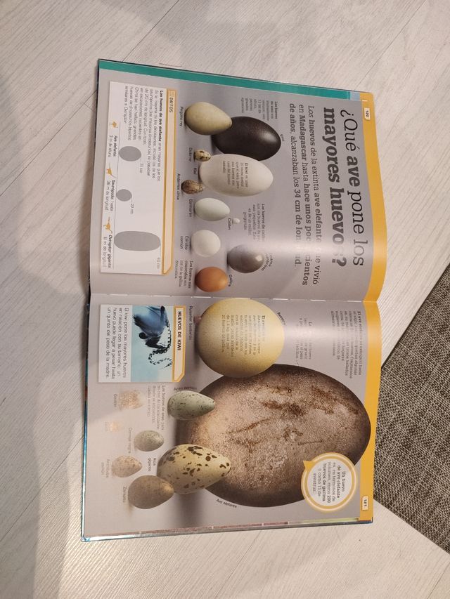 ¡Increíble pero cierto!: Comparaciones visuales...