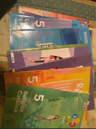 lote de libros sm 5 primaria,
