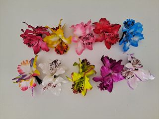 10 FLORES HAWAIANAS PARA EL PELO