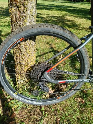 Bicicleta Megamo Natural Elite, talla M 2021