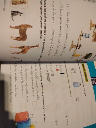 Proyecto: FanFest - Matemáticas 1 - Cuaderno - ...