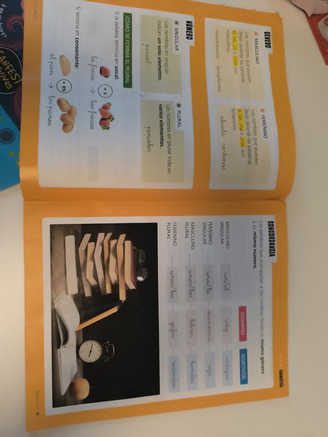 Saberes básicos Lengua