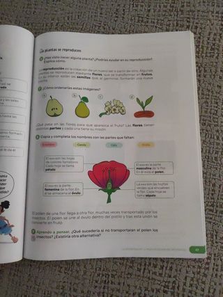 Ciencias de la Naturaleza. 4 Primaria. Revuela....