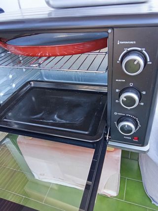 Horno de asar y para pollos