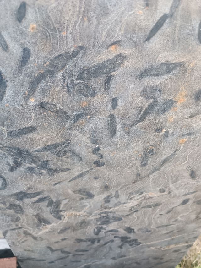 Granito y mármol gris para cocina