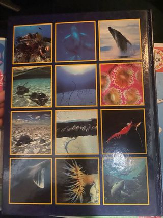 Los Reinos del Mar National Geographic