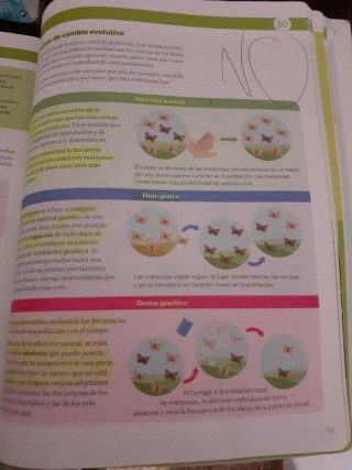 BIOLOGIA Y GEOLOGIA 4ESO EXPERIMENTAMOS CONSTRU...