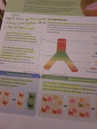 BIOLOGIA Y GEOLOGIA 4ESO EXPERIMENTAMOS CONSTRU...