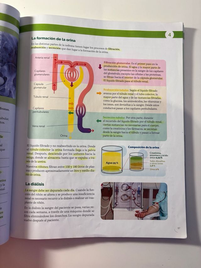 BIOLOGIA Y GEOLOGIA MADRID 3 ESO CONSTRUYENDO M...