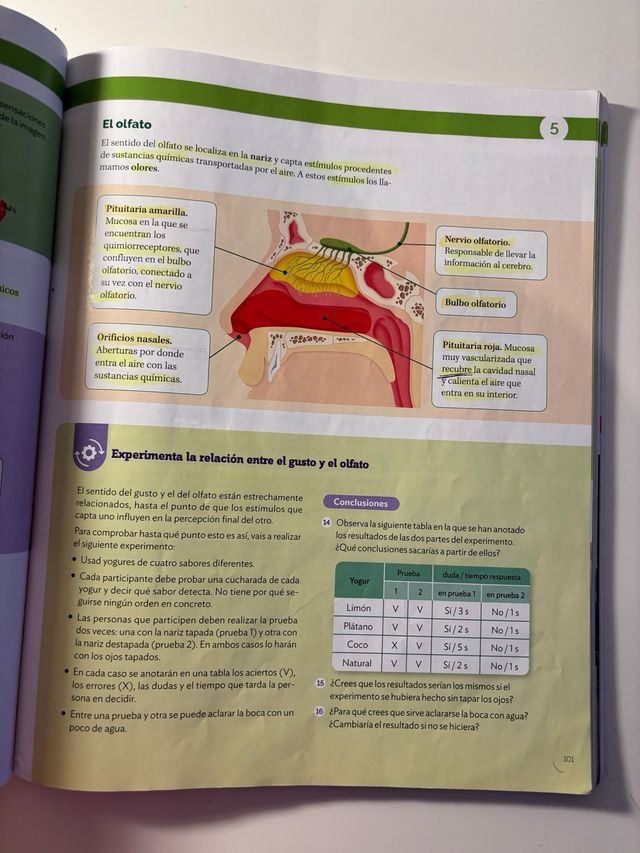 BIOLOGIA Y GEOLOGIA MADRID 3 ESO CONSTRUYENDO M...
