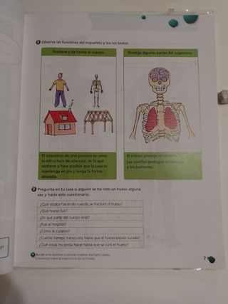 Educación Física 3º Primaria