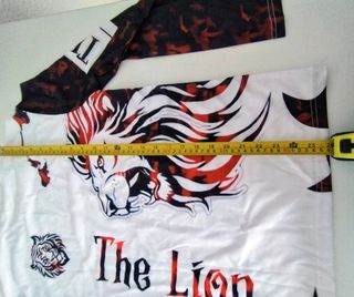 Camiseta Hombre Manga Larga León - Talla S