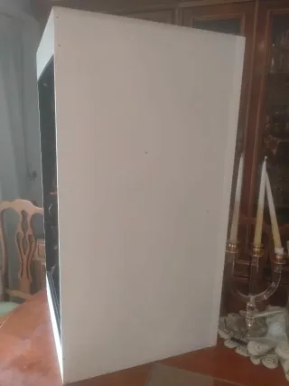 Terrario para camaleón