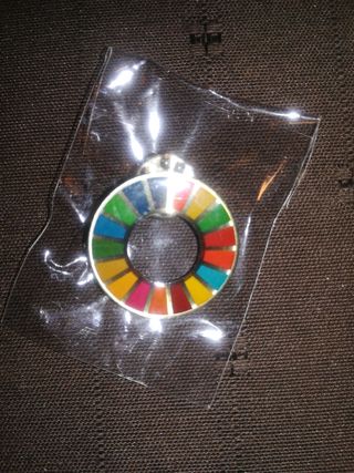 Pin ODS - Objetivos Desarrollo Sostenible. 