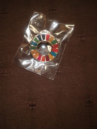Pin ODS - Objetivos Desarrollo Sostenible. 