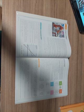 Economía. 2 Bachillerato. Savia (Spanish Edition)