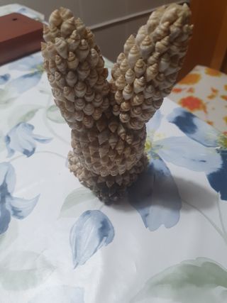 Coniglio decorato conchiglie
