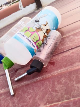 Bebedero animales pequeños - 3 ud.