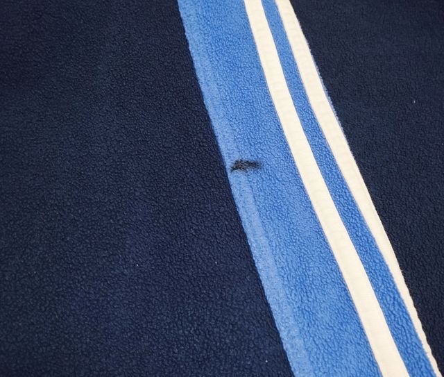 Sudadera Adidas azul marino chico