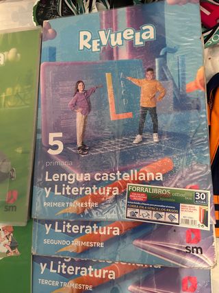 lengua castellana y literatura
