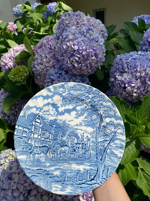 Plato decorativo Royal Wessex  vintage Inglaterra