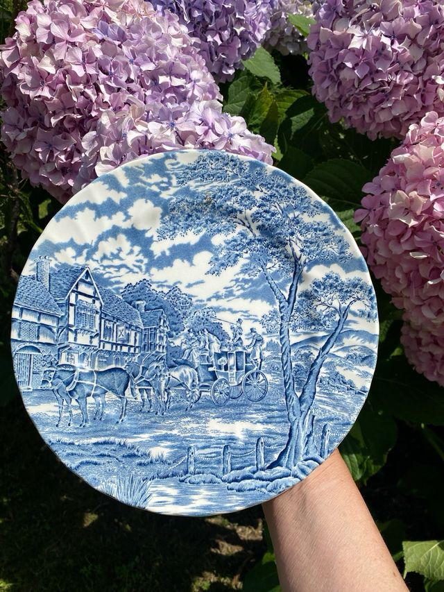 Plato decorativo Royal Wessex  vintage Inglaterra